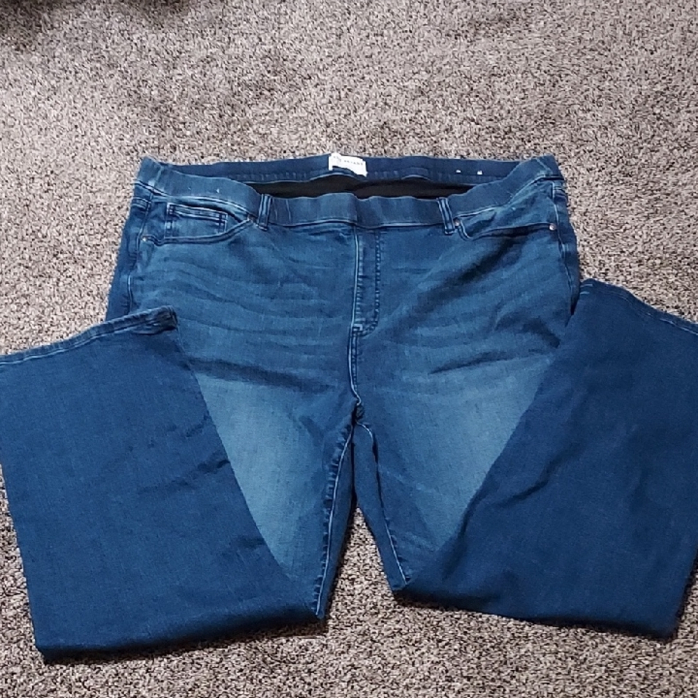 Lane Bryant Dark Blue Straight Leg Jeans